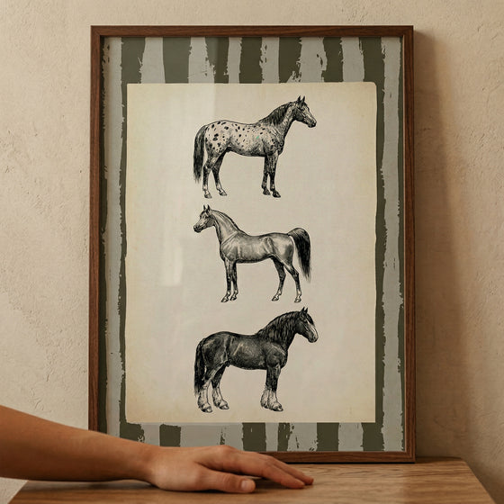 A vertical wood-framed piece of art leans against a textured, neutral-toned wall. Inside the frame, an aged, off-white paper displays three detailed black and white horse sketches stacked vertically. Each horse represents a different breed: a spotted horse at the top facing right, a lean, athletic horse in the middle facing left, and a powerful draft horse at the bottom facing right. The background of the artwork features rustic, irregular vertical stripes in a dark, muted olive color.