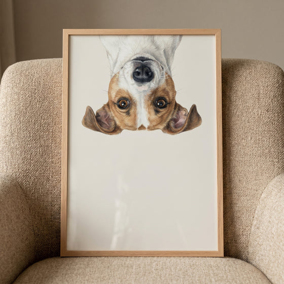 Curious jack russell terrier wall art in a wooden frame displays an upside-down dog face on a textured armchair.