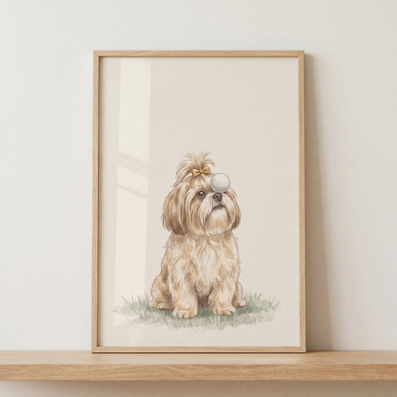 Gold bow shih tzu dog wall art showing a fluffy dog sitting in grass with a golf ball balanced over its eye.