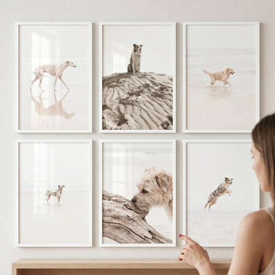 Minimalist white coastal dog wall art set of 6 displays various dogs on sand dunes and beaches in simple white frames.