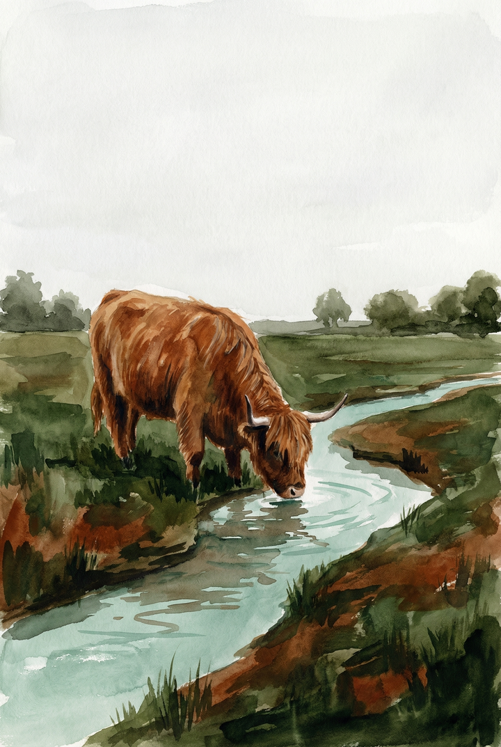 Watercolor painting of a shaggy highland cow drinking from a narrow winding stream surrounded by green grass and soft distant trees. The muted tones and flowing brushstrokes create a calm countryside atmosphere.