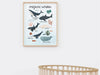 Educational Whales Wall Art