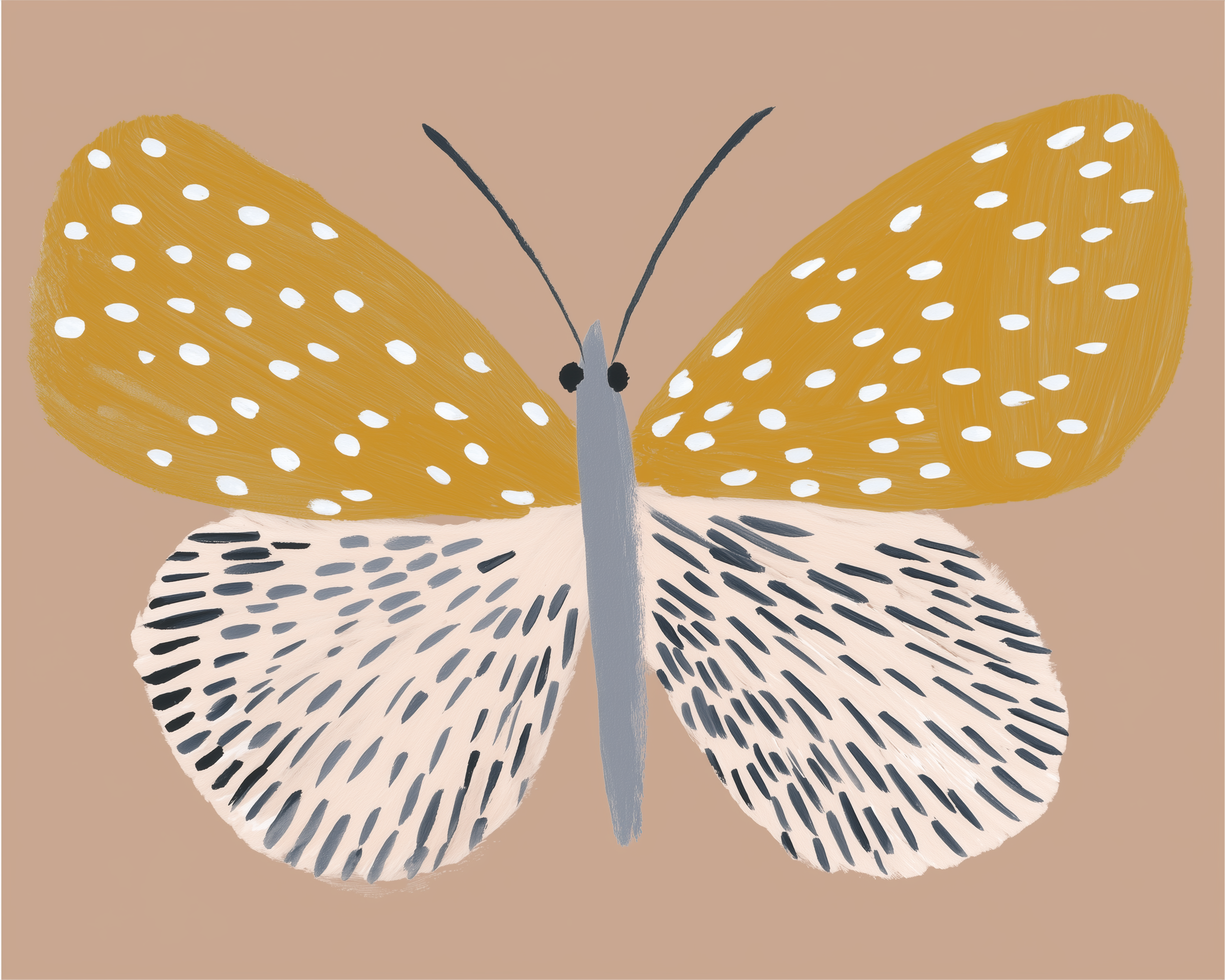 Painted Petal - Butterfly Framed Wall Art for Living Room, Bedroom or Office