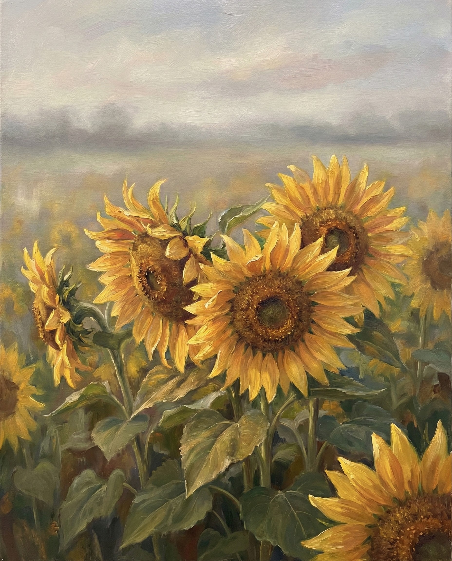 Soft oil painting of blooming sunflowers in the foreground of a misty field with a hazy sky above creating a peaceful sunrise scene filled with warmth and natural beauty
