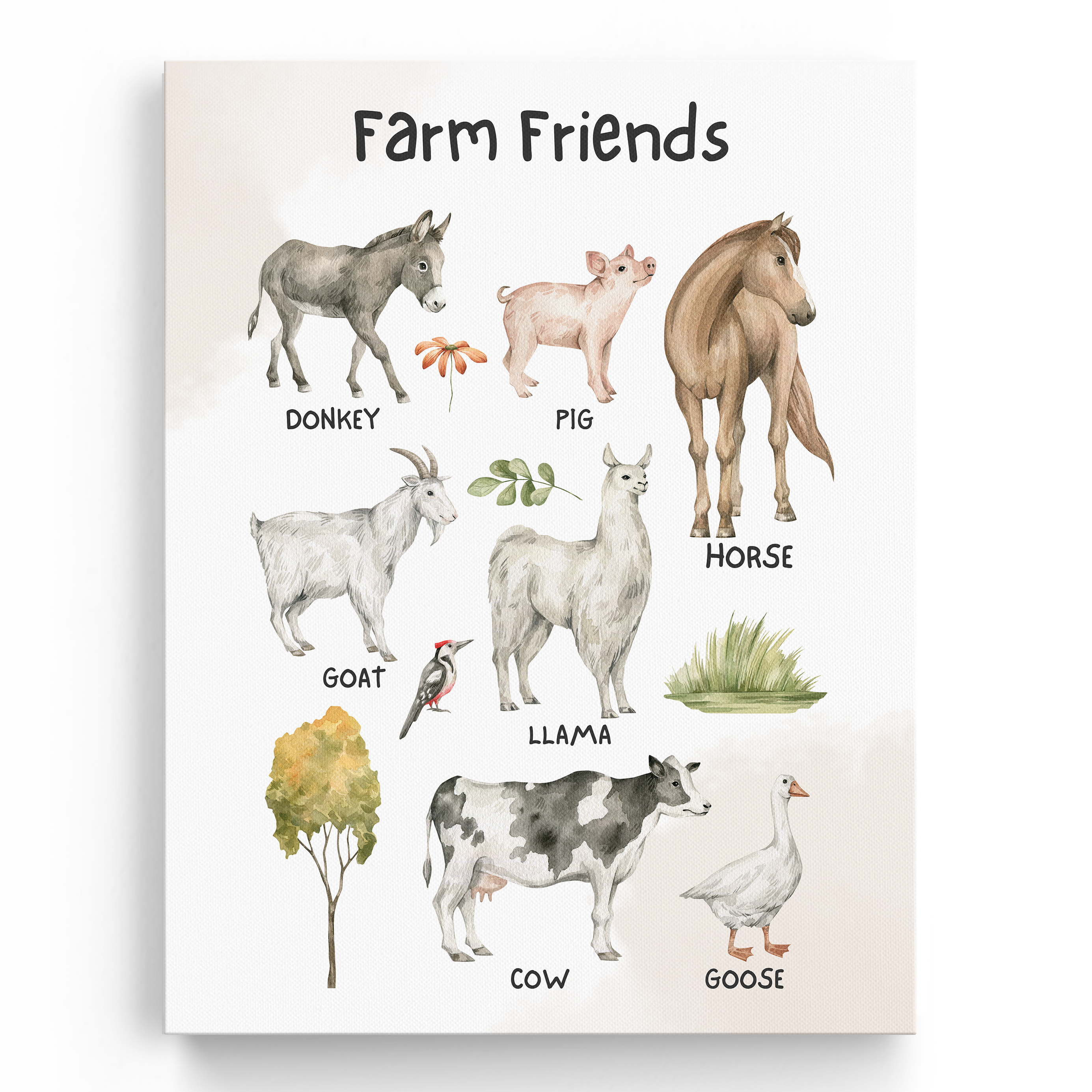 Educational Farm Animals Wall Art