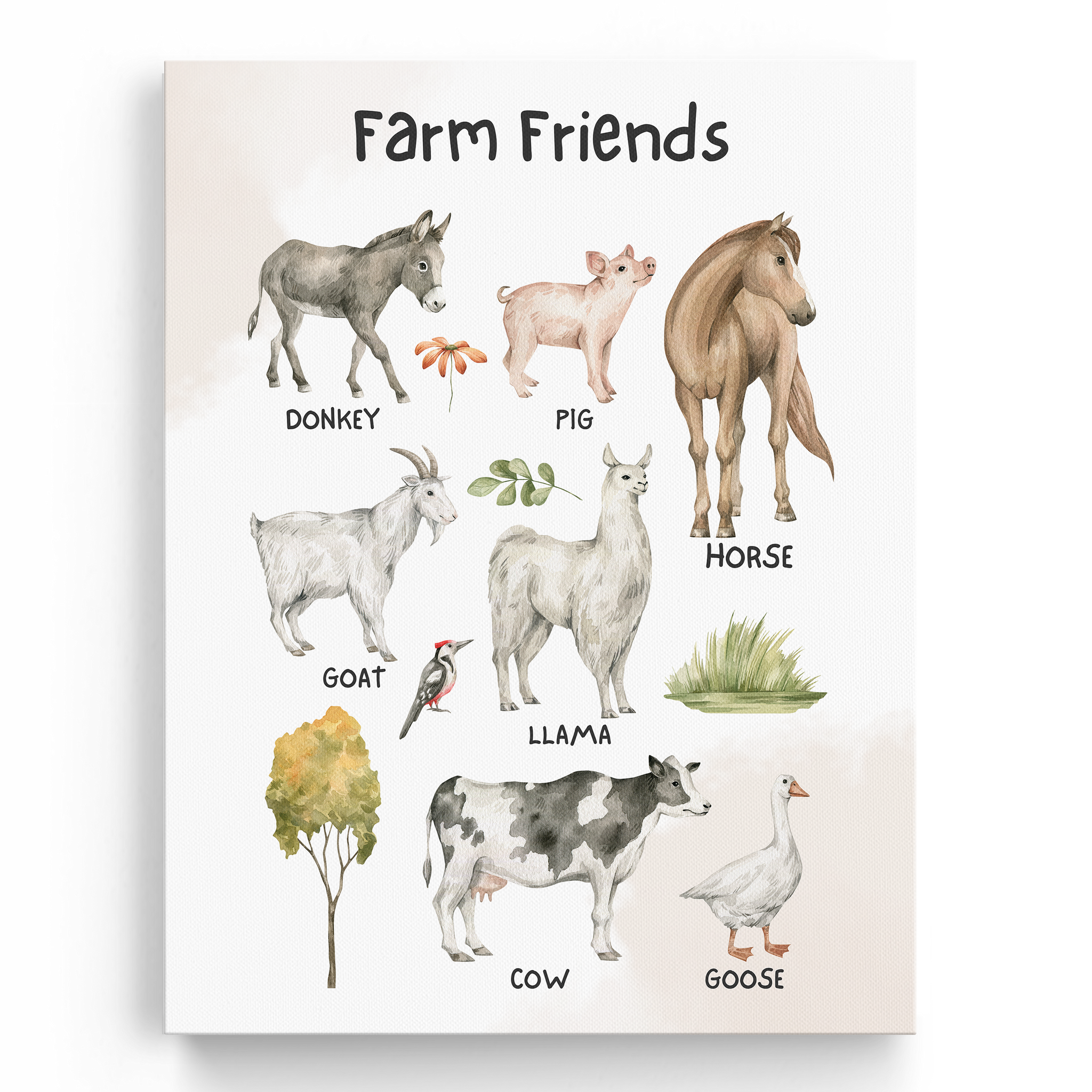 Educational Farm Animals Wall Art