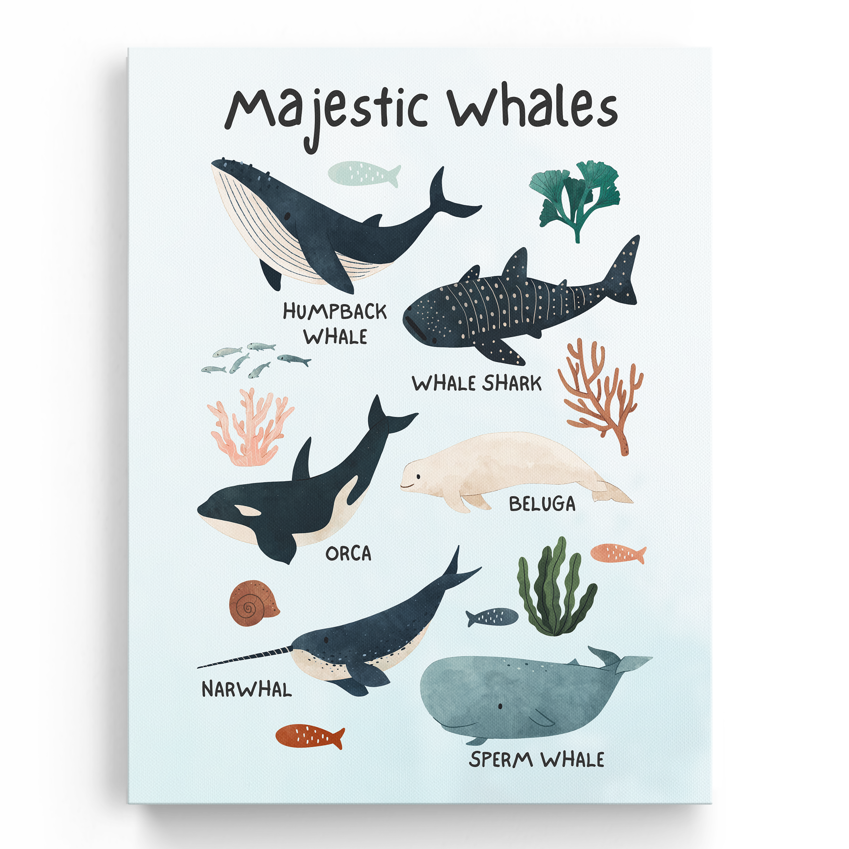 Educational Whales Wall Art