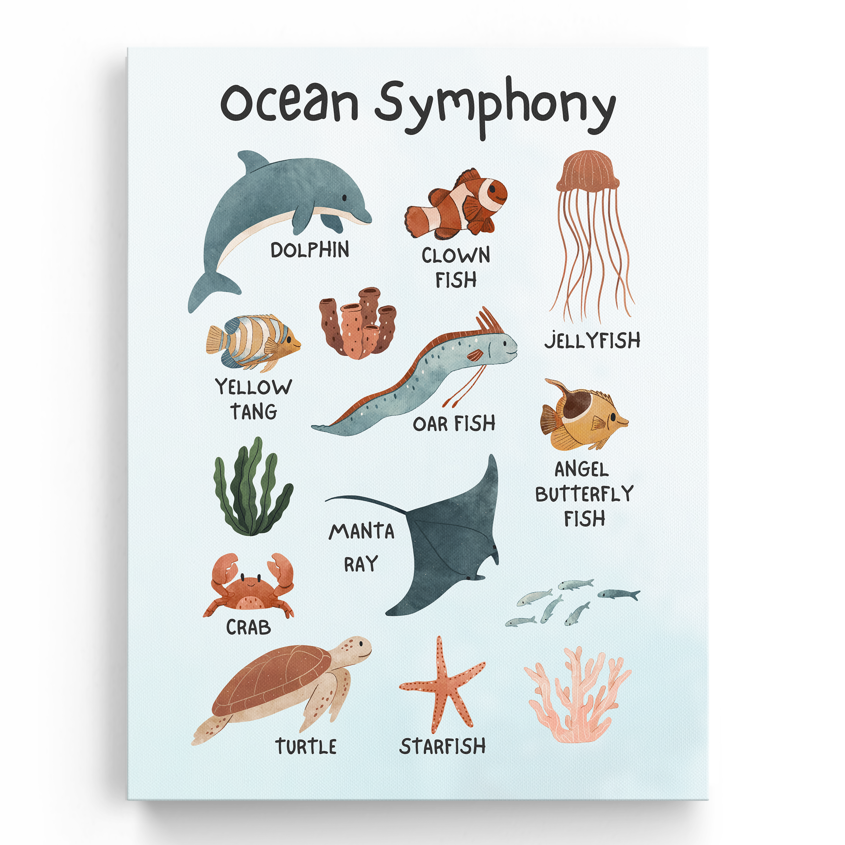 Educational Sea Animals Wall Art