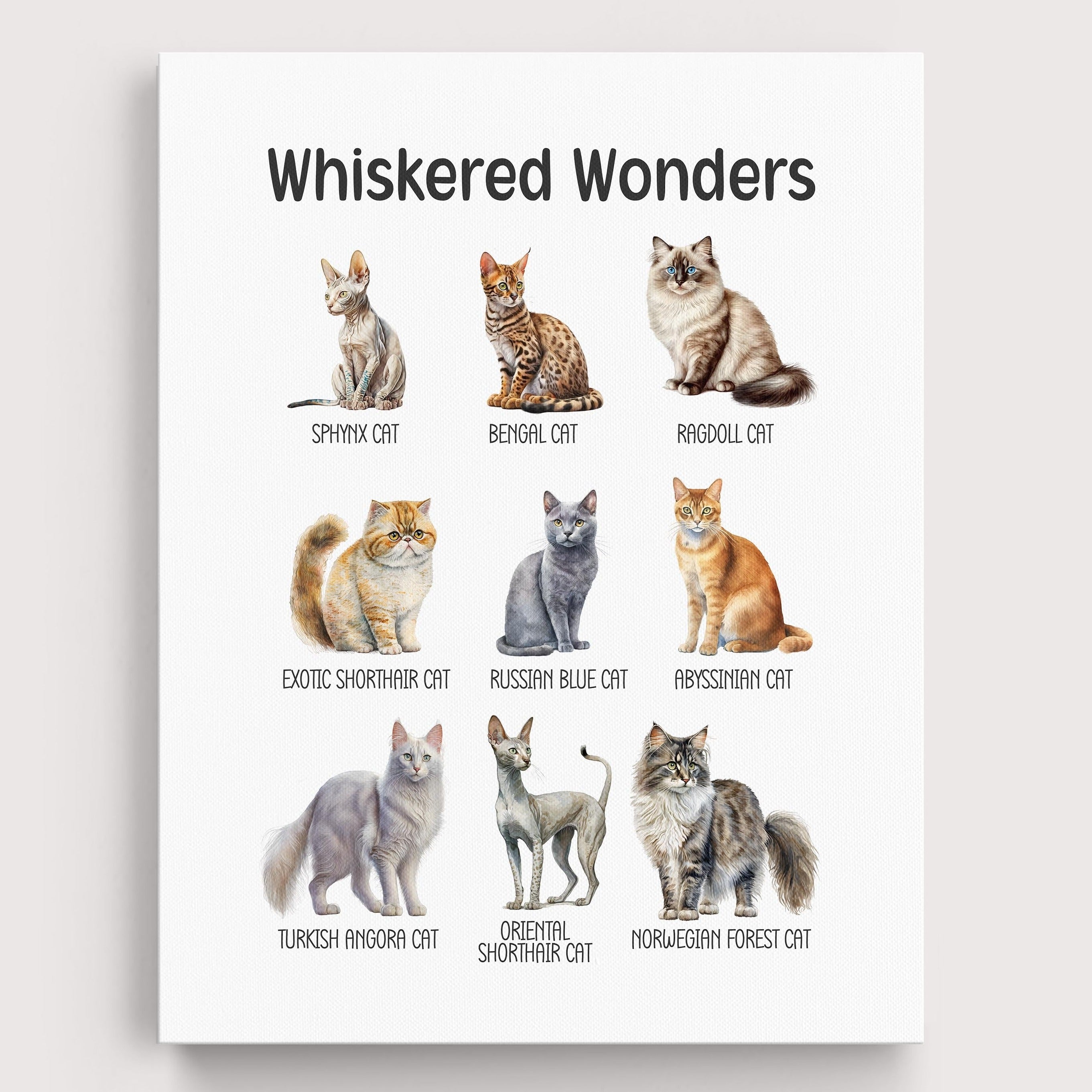 Educational Cats Wall Art