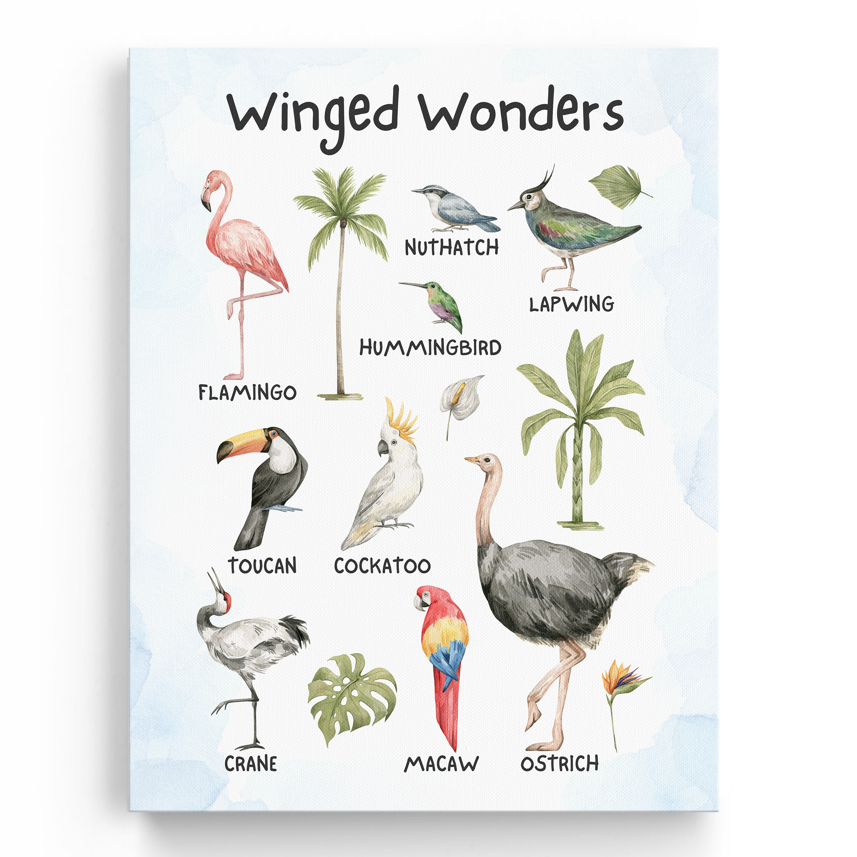 Educational Birds Wall Art