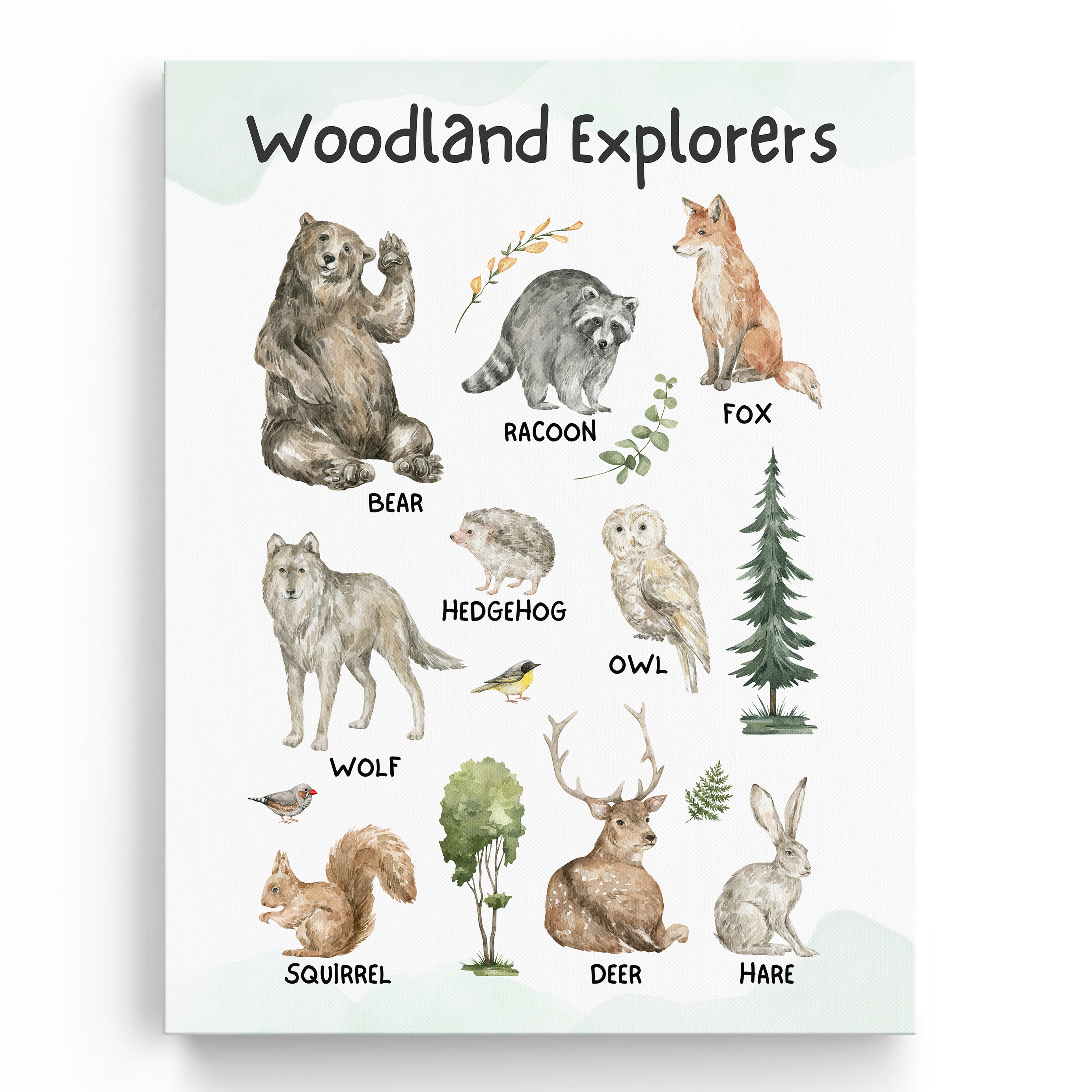 Educational Woodland Wall Art