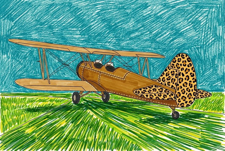 Colorful drawing of a vintage biplane airplane on a green grassy field with a vivid blue sky in the background. The airplane is brown with a striking leopard print pattern on its tail and rear wings, blending playful design with classic aviation style.