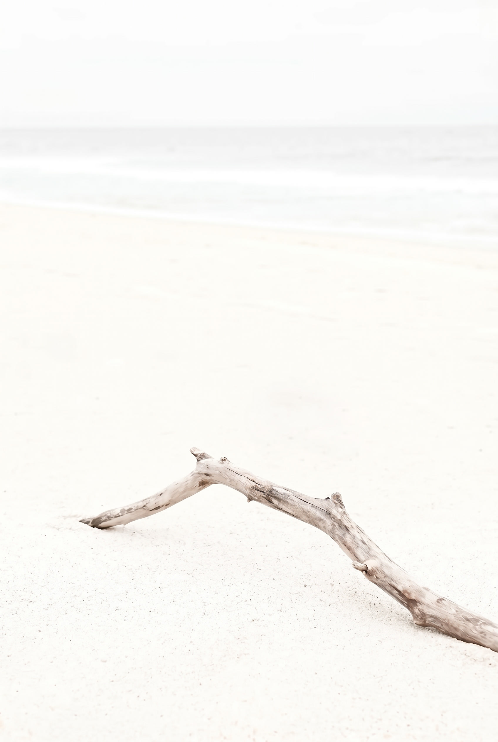 Airy White Sand Driftwood Wall Art - Pristine Beach Drift