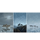 A triptych of three vertical panels depicts wolves in a winter setting. The left panel shows a pair of wolves and a pup wading through a cold stream under a dark, moonlit sky. The center panel features the dark silhouettes of a wolf family standing on a rocky ledge against a textured blue and white sky. The right panel displays two adult wolves and their pup walking across a vast, cracked ice field, with their reflections mirrored on its surface.