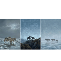 A triptych of three vertical panels depicts wolves in a winter setting. The left panel shows a pair of wolves and a pup wading through a cold stream under a dark, moonlit sky. The center panel features the dark silhouettes of a wolf family standing on a rocky ledge against a textured blue and white sky. The right panel displays two adult wolves and their pup walking across a vast, cracked ice field, with their reflections mirrored on its surface.