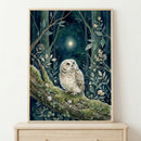 A framed watercolor-style illustration of a small, fluffy owl perched on a mossy tree branch in a dark, enchanted forest at night. The owl looks upward towards a single bright, glowing star in the sky. Delicate foliage and tiny white flowers surround the owl. The frame is a light natural wood, placed on top of a matching wooden dresser against a plain wall.
