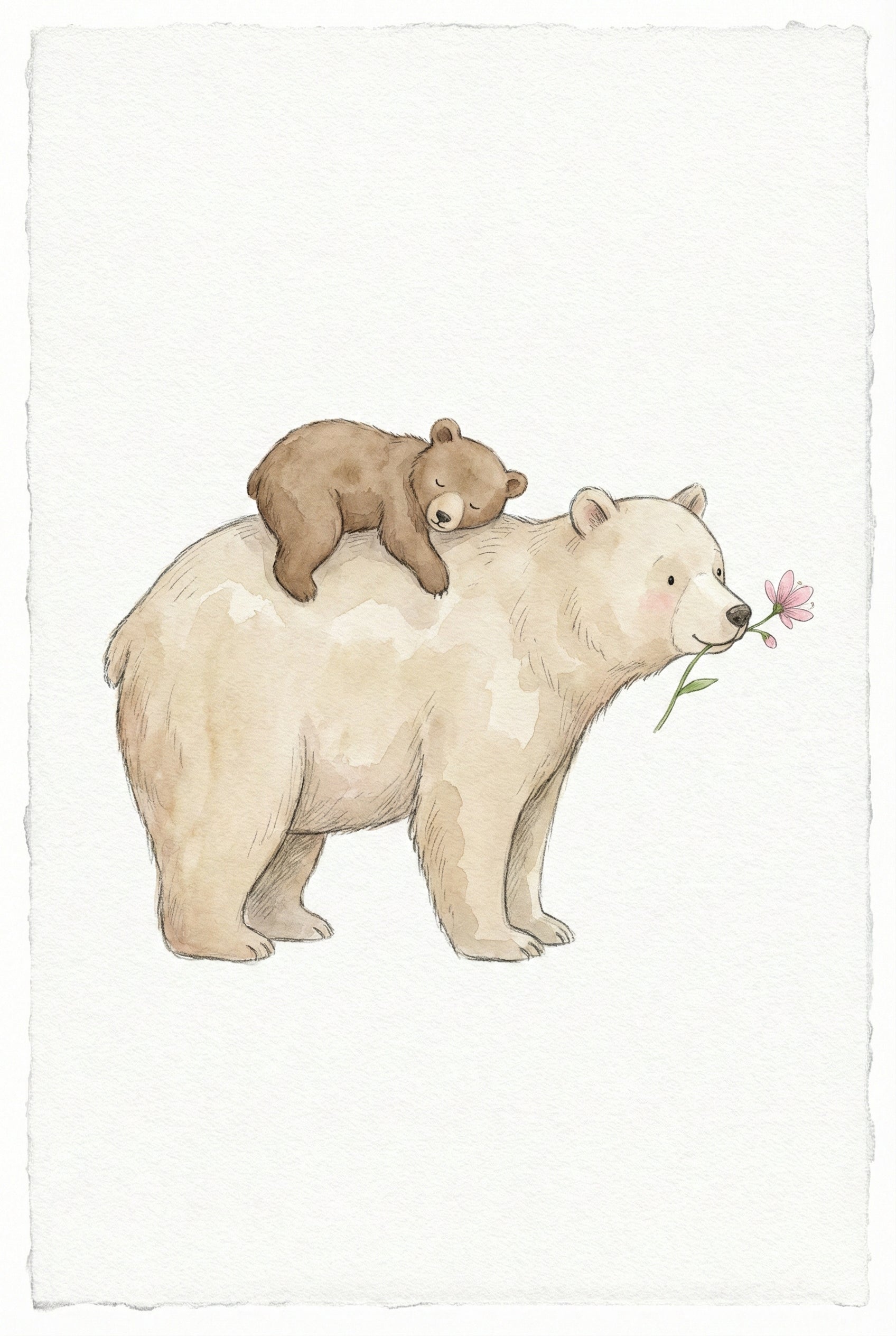 A gentle watercolor-style illustration of a large, light-beige bear with a small brown cub sleeping on its back. The larger bear stands calmly, holding a single pink flower by its stem in its mouth. The artwork has soft, muted tones and is set against a textured, white background with deckled edges. The overall mood is peaceful and heartwarming, depicting a tender moment between the two animals.