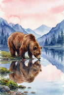 Watercolor illustration of a brown bear lowering its head to drink from a still lake. The bear’s reflection is clearly visible in the water with pine trees and layered blue mountains mirrored behind it. The scene feels peaceful and reflective.

