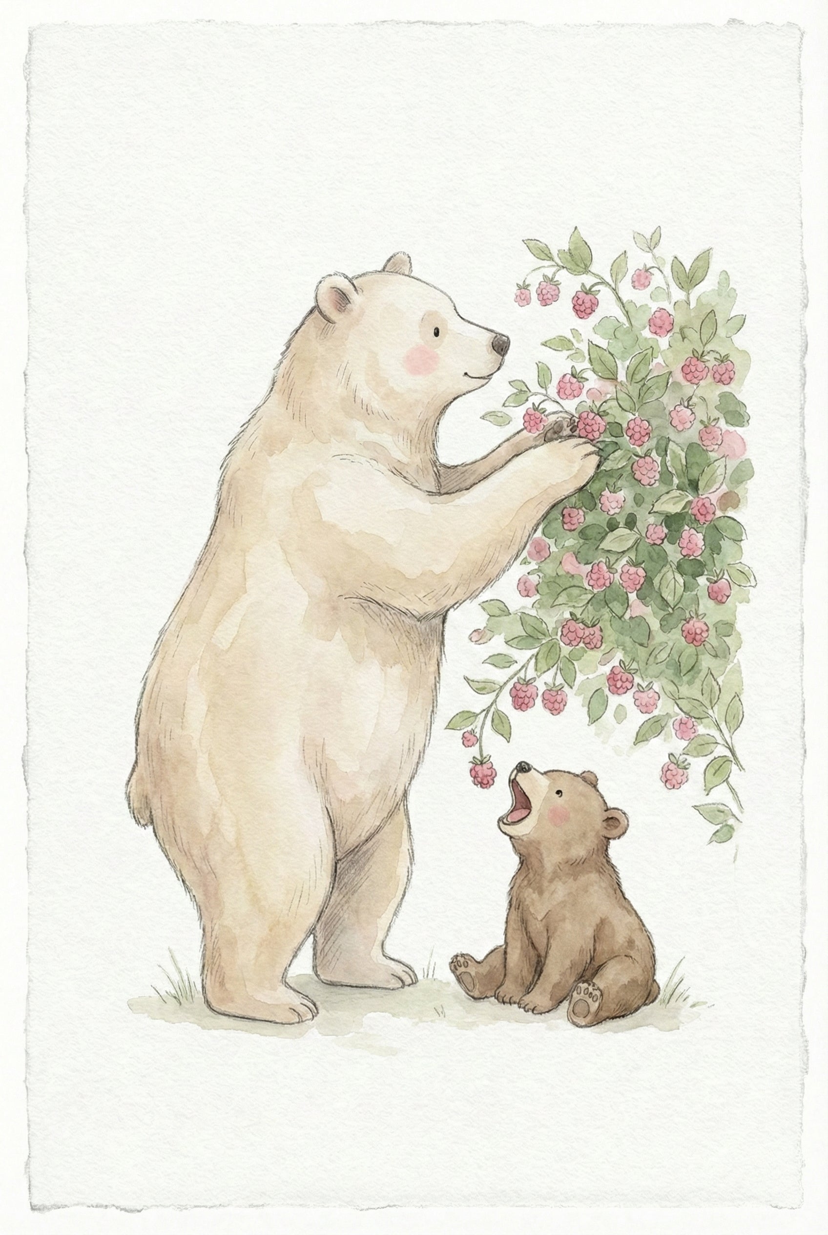 A gentle watercolor illustration on textured paper depicts two bears by a berry bush. A large, cream-colored bear stands on its hind legs, reaching out with its paws to pick small pink berries from a leafy green bush. Below, a small brown bear cub sits on the ground, looking upward with its mouth wide open, eagerly waiting for a treat. The artwork features soft washes of color, delicate outlines, and a whimsical, storybook feel against a plain white background.
