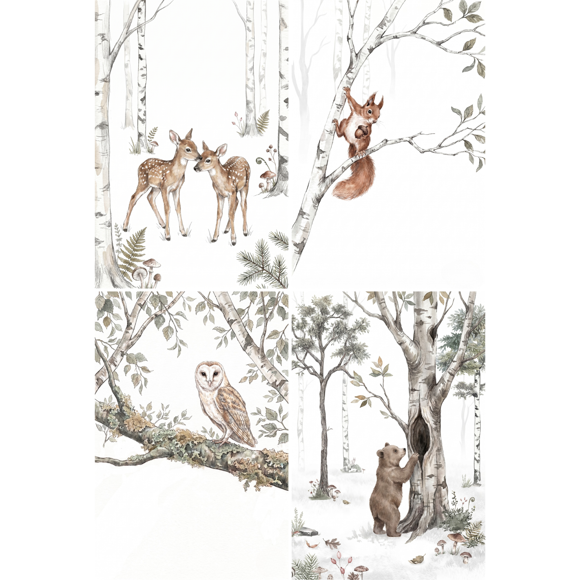 Birch Grove Animals Wall Art Set of 4 - Woodland Animal Tales
