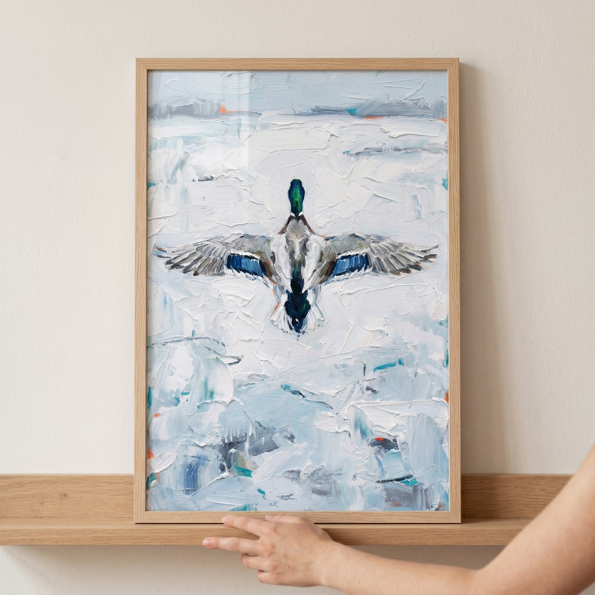 Blue Wing Landing Mallard Artwork - Wings Over Winter