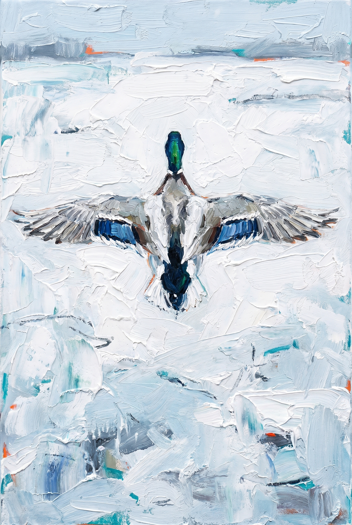 A blue wing landing mallard artwork of a duck with outstretched wings over a textured white snowy landscape.
