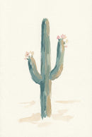 Botanical watercolor of a tall saguaro cactus with three upward‑reaching arms and small pale pink blooms at their tips. The cactus is painted in muted greens and sandy beige tones against a light, almost blank background, evoking a peaceful desert botanical study.