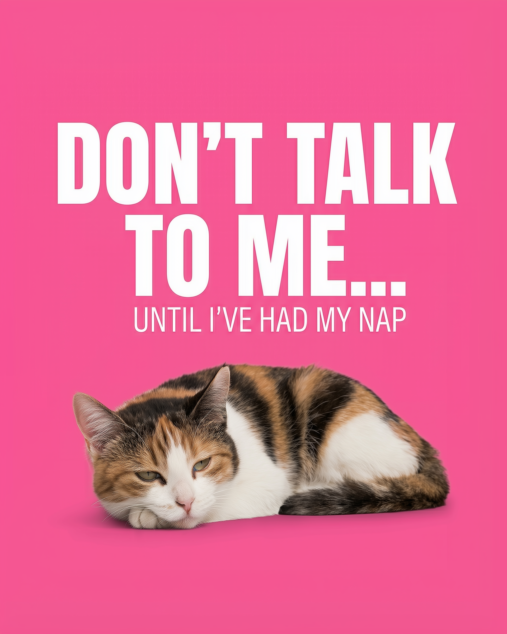  A sleepy calico cat curls up beneath large white text on a pink background that says “DON’T TALK TO ME… Until I’ve had my nap.
