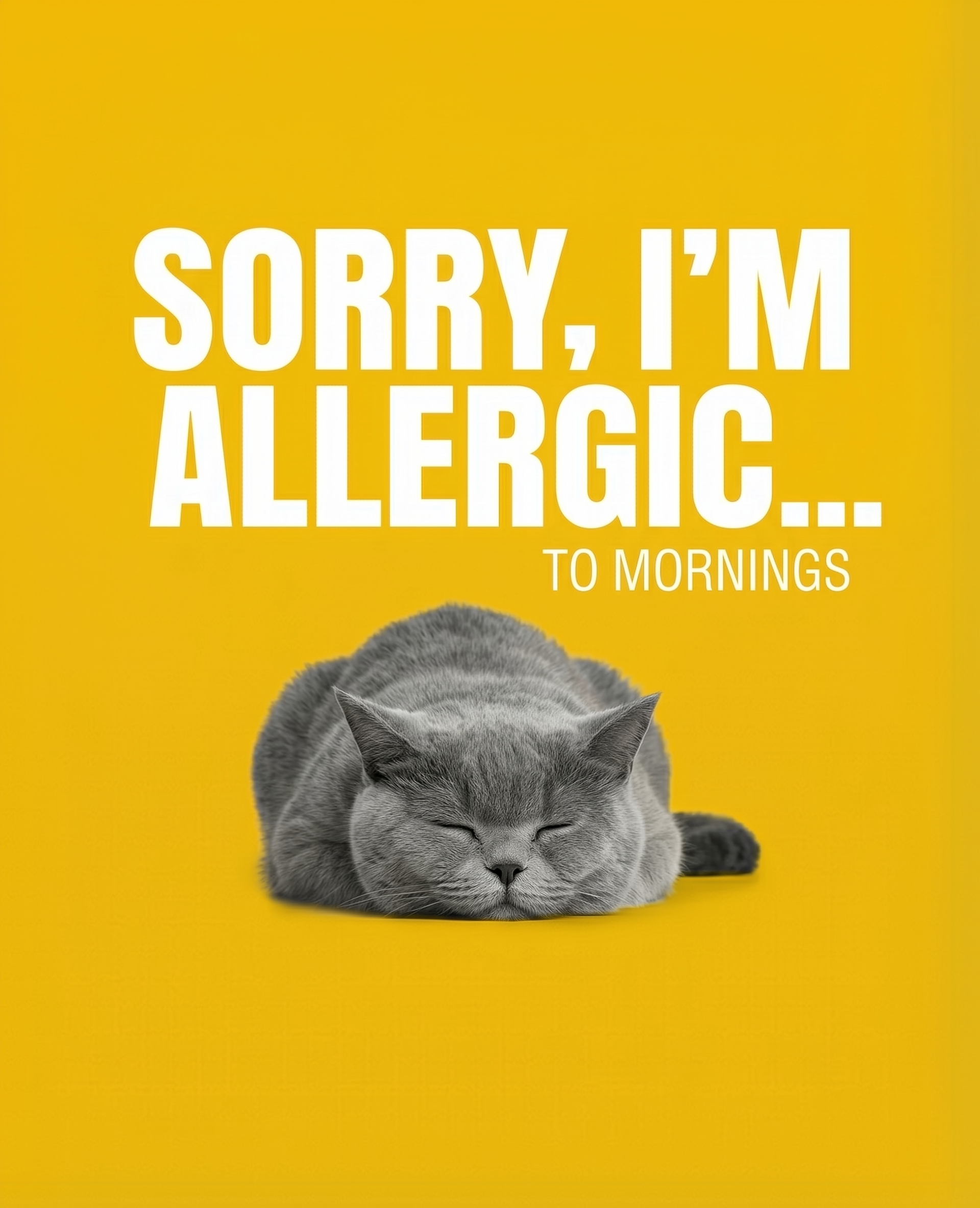  A gray British Shorthair cat sleeps soundly on a yellow background beneath the large text “SORRY, I’M ALLERGIC… To mornings.