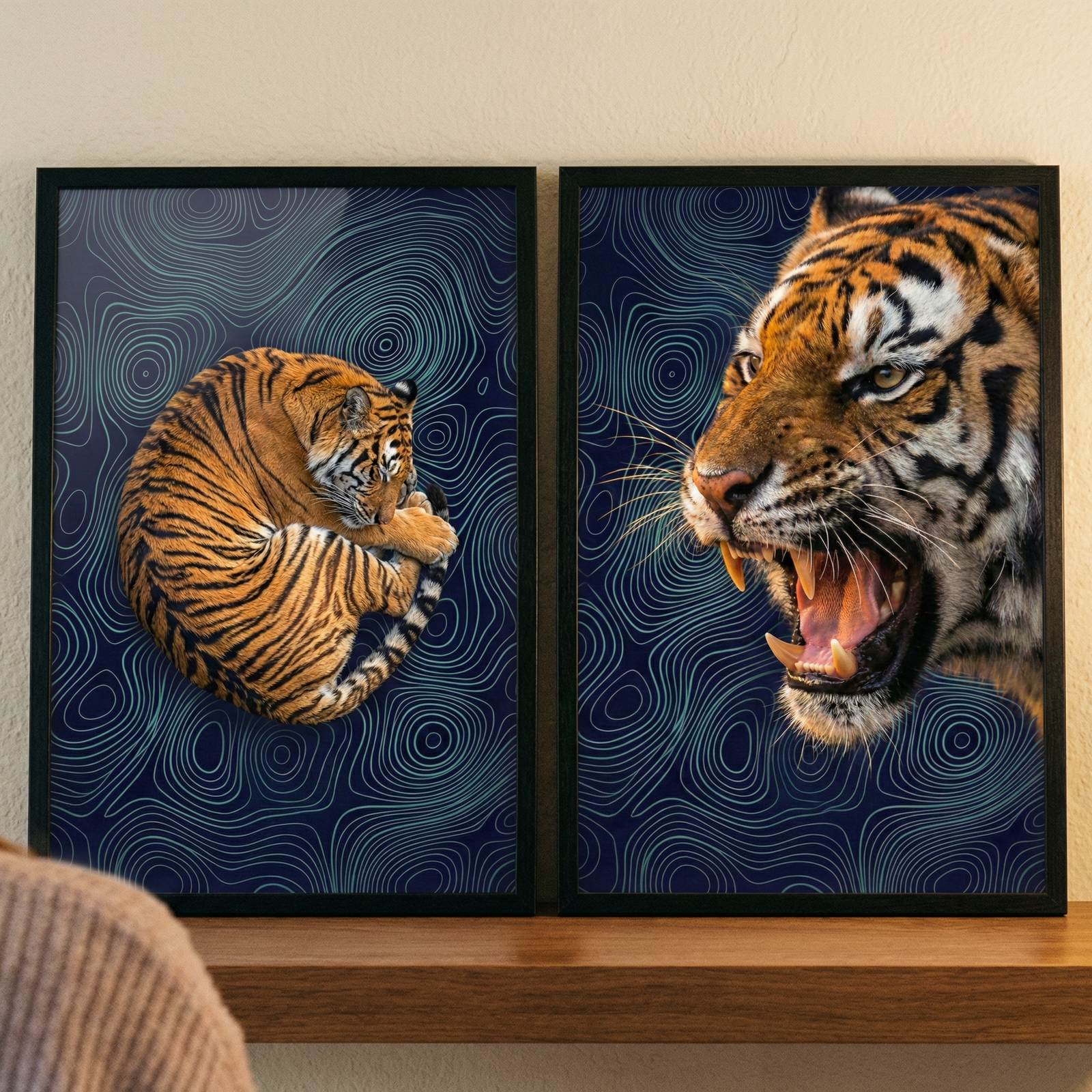 Two framed posters rest on a wooden shelf. The left image shows an orange and black tiger curled into a circular shape. The right image features a close-up of a tiger's head roaring with its mouth wide open. Both tiger depictions are set against a dark blue background with light blue, swirling topographic-style lines. They are held in thin black frames and set against a light-colored wall. A portion of a person's beige knit sweater is visible in the lower-left foreground.