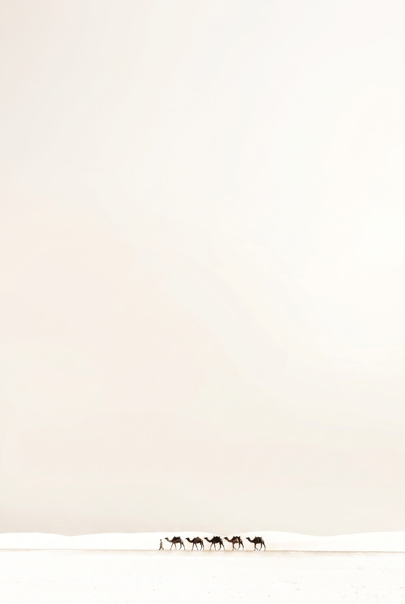 Creamy Minimalist White Camel Wall Art - Desert Caravan