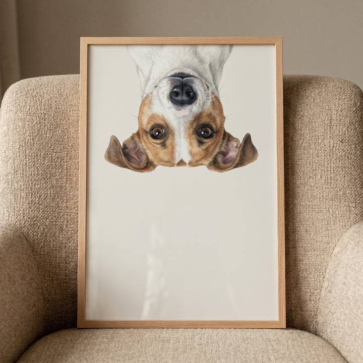 Curious jack russell terrier wall art in a wooden frame displays an upside-down dog face on a textured armchair.
