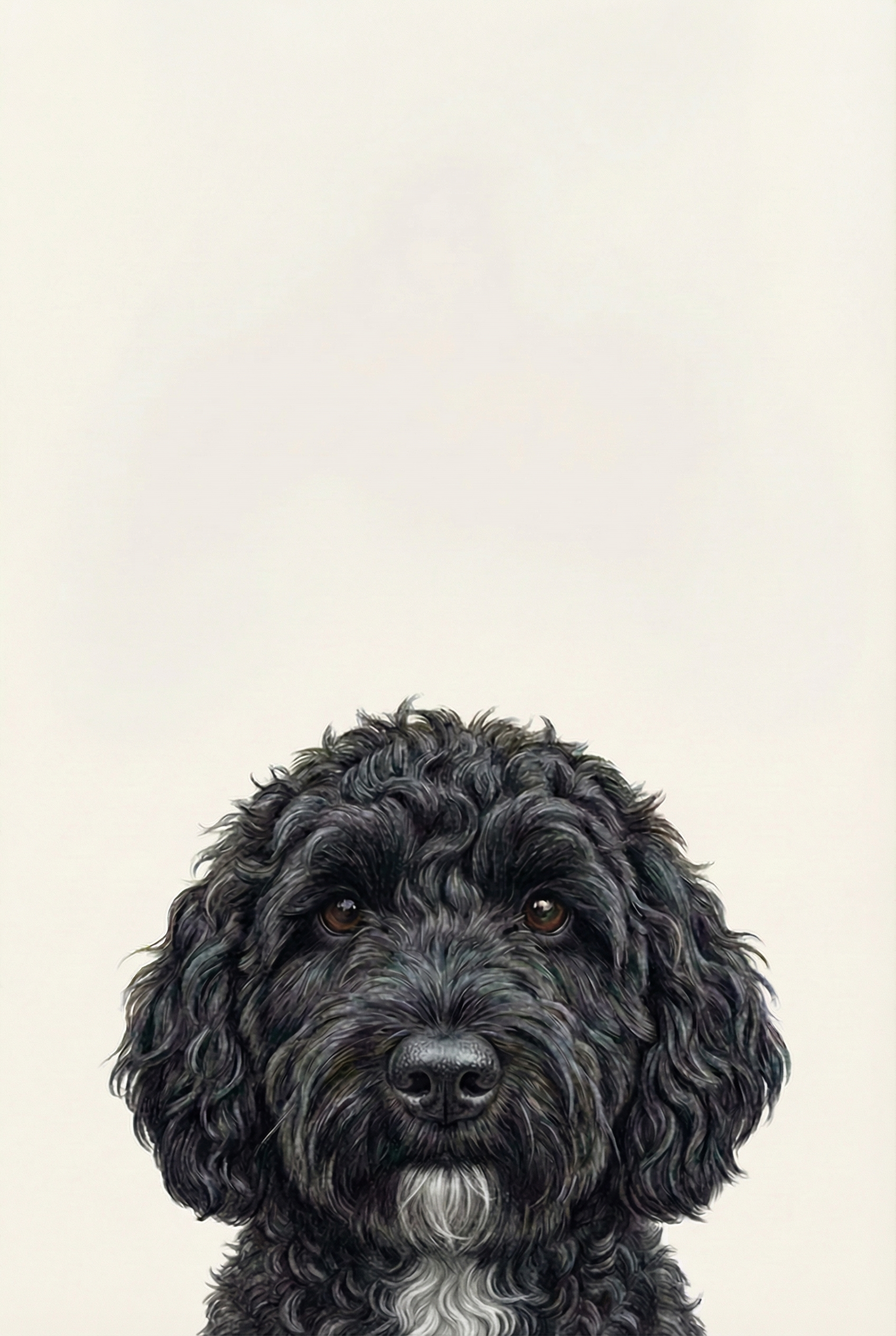 Curly Black Doodle Dog Wall Art - Midnight Fluffy Curls