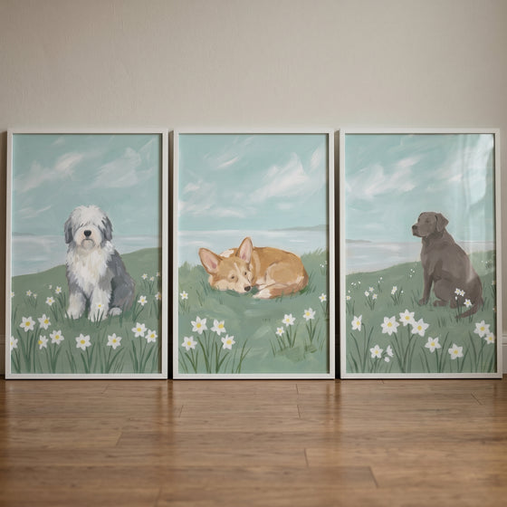 Three framed dog illustrations in a floral field. Daisy meadow spring dogs wall art set of 3.