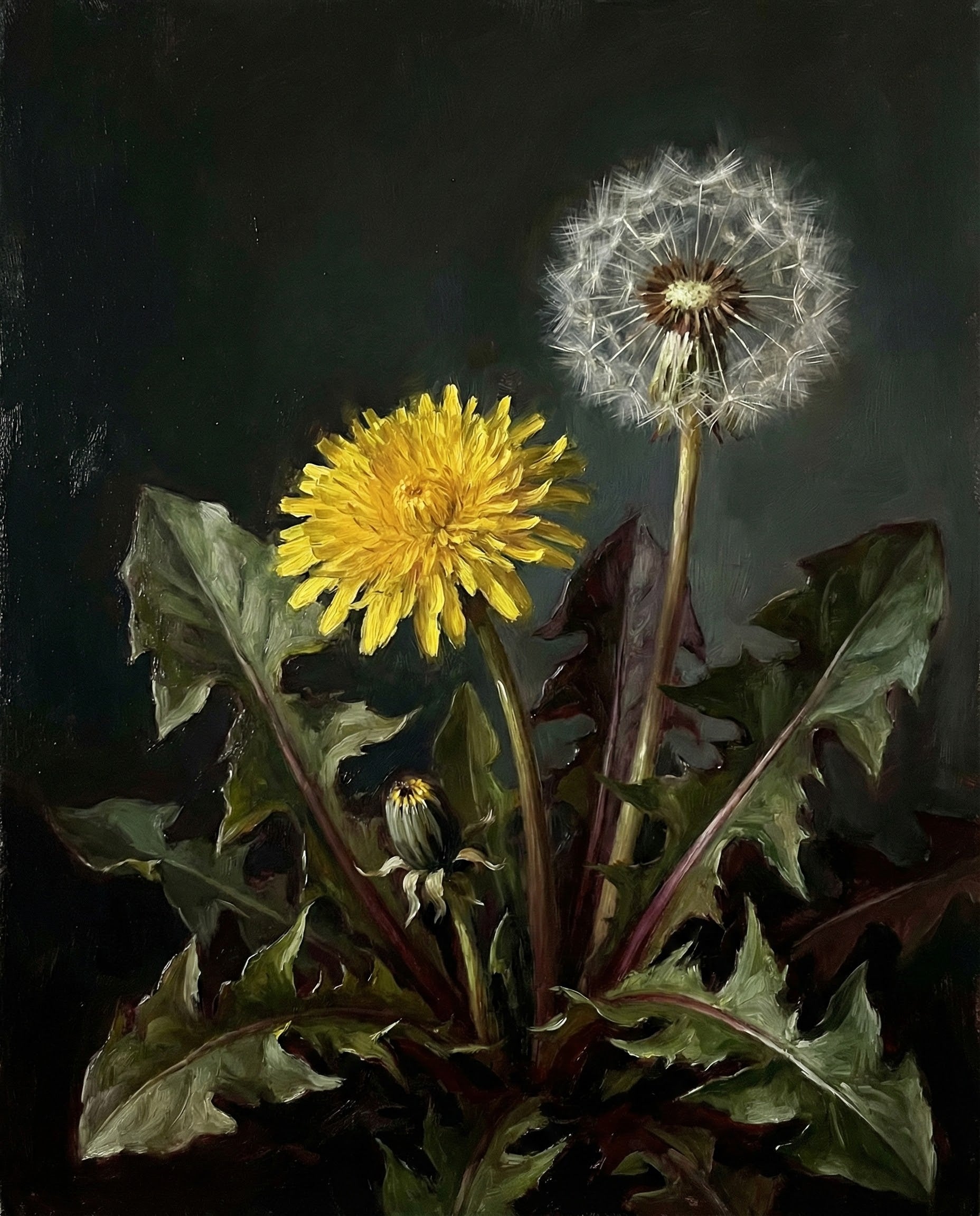 Life's Cycle - Dandelions Framed Wall Art for Living Room, Bedroom or Office