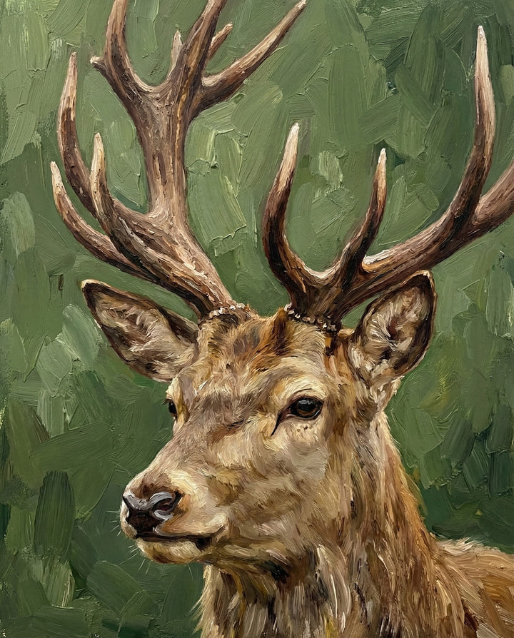 An oil painting focusing on the face and antlers of a mature stag, set against a softly textured green backdrop. The brushstrokes emphasize the animal’s alert expression and natural majesty.
