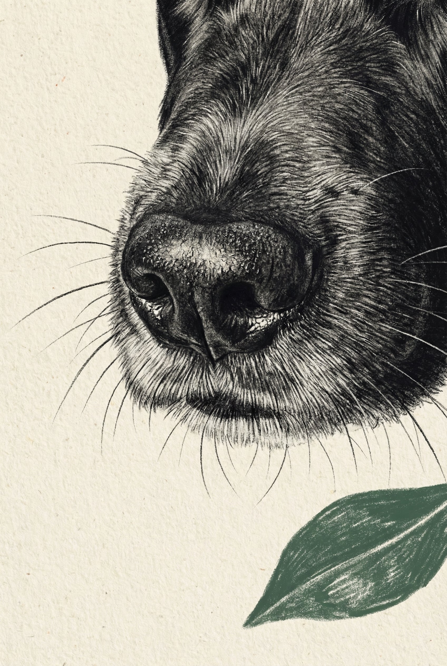 Detailed Ink Black Dog Wall Art - The Curious Snout