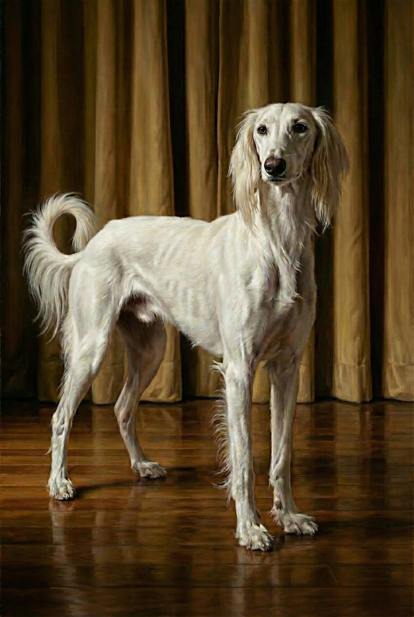 A graceful cream-colored Saluki stands poised on a polished wooden floor, its long, feathery tail curled and ears flowing softly. The golden draped curtains behind it give the scene a warm, refined atmosphere, enhancing the dog's elegant presence.
