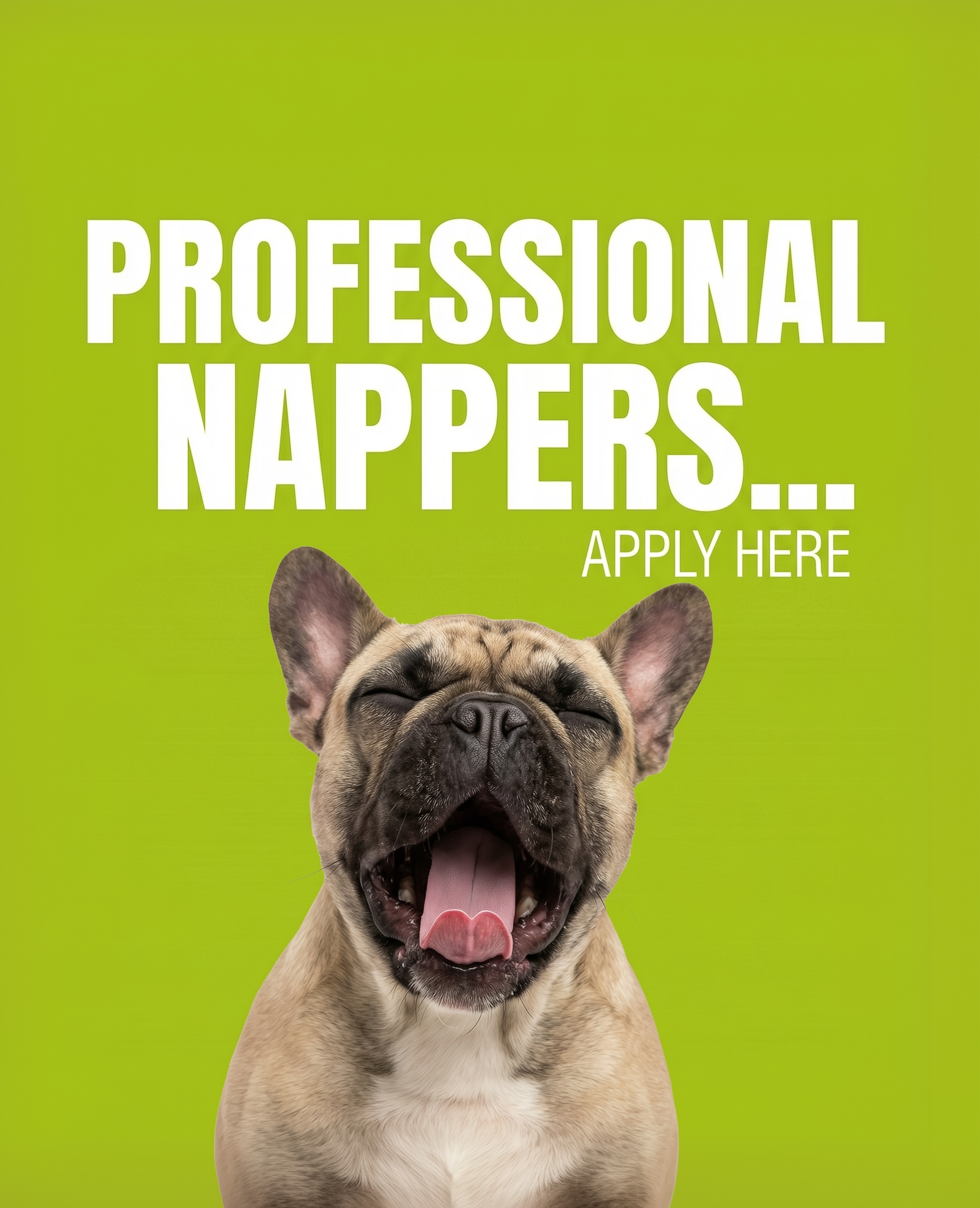  A yawning French bulldog sits in front of a lime green background with bold white text that reads “PROFESSIONAL NAPPERS… Apply here.”
