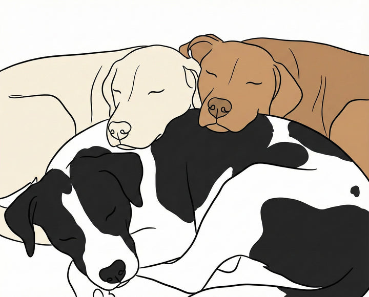 A clean line-art style image of three peacefully sleeping dogs in black, tan, and cream colors, cuddled together in a simple, flat design with a white background.
