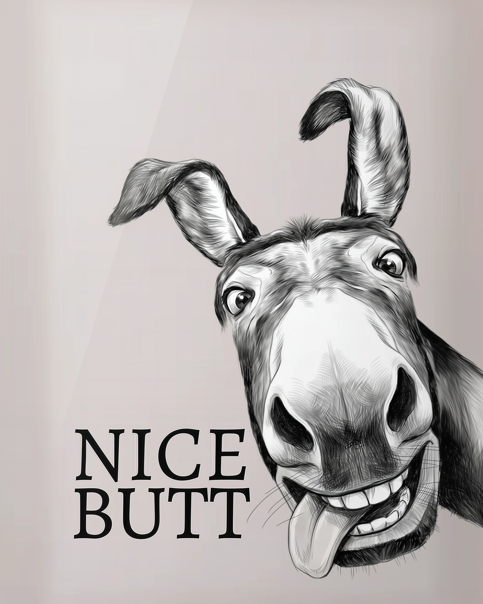 Spirited Smile - Donkey Framed Wall Art for Living Room, Bedroom or Office