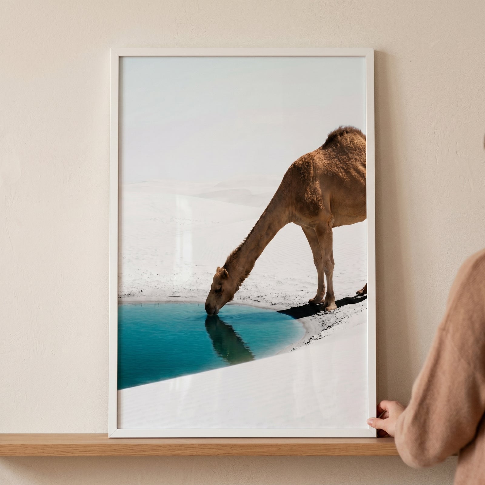 Drinking desert oasis camel wall art in a white frame shows a camel drinking from a turquoise pool in a white desert.