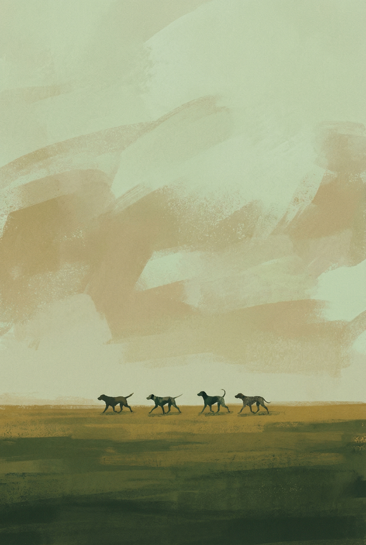 Four dogs walking in a line across an open plain under a soft cloudy sky, rendered in a minimal watercolor landscape style.

