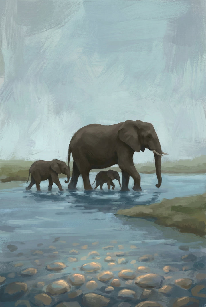 A family of elephants wades through a shallow river, their reflections shimmering on the water. Smooth river stones are visible beneath the surface, adding texture to the peaceful scene.
