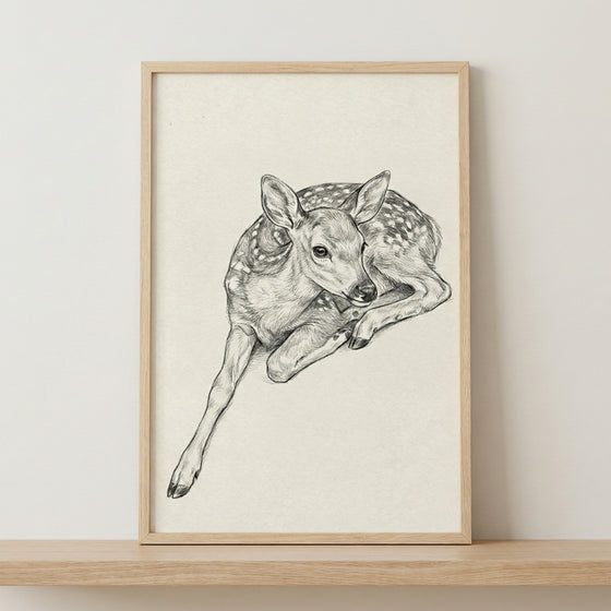 A framed black and white pencil sketch of a spotted fawn lying down. The art piece is in a simple light wood frame, positioned on a wooden shelf against a plain, off-white wall.