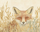 An illustration of a fox peering through tall, golden grasses, with its vivid orange eyes and pointed ears prominently visible against a textured, beige background.