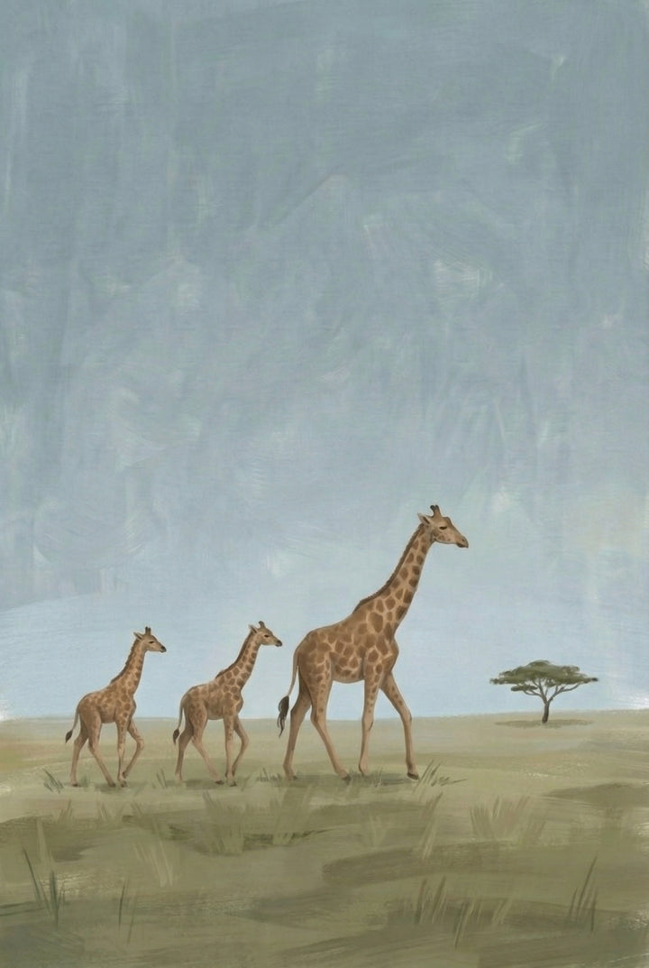 Three giraffes—a mother and two calves—walk across an open grassland with a lone acacia tree in the distance, under a pale blue sky.
