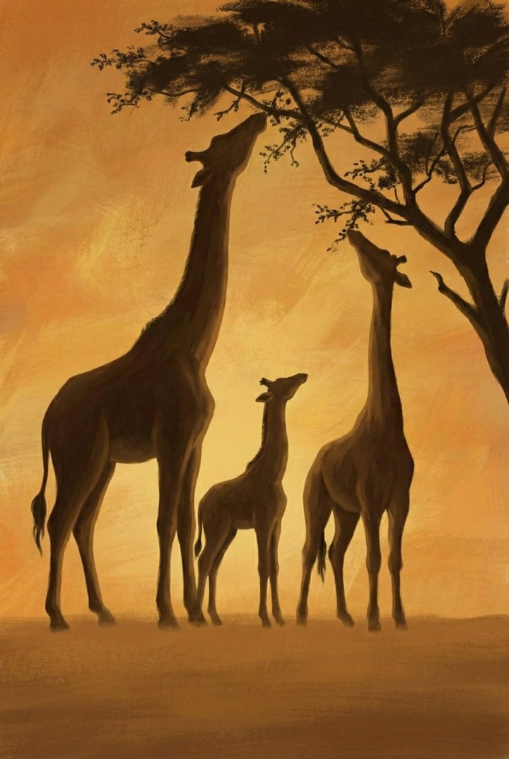 Three giraffes, including a baby, standing under an acacia tree and feeding on its leaves as the sun sets in orange hues.
