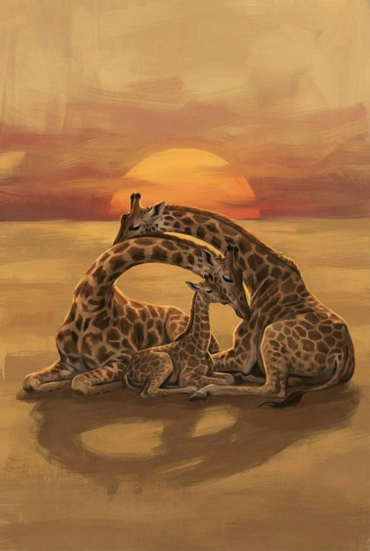 A family of three giraffes laying on the ground, nuzzling each other in a heart-shaped pose, with the sun setting in the background.
