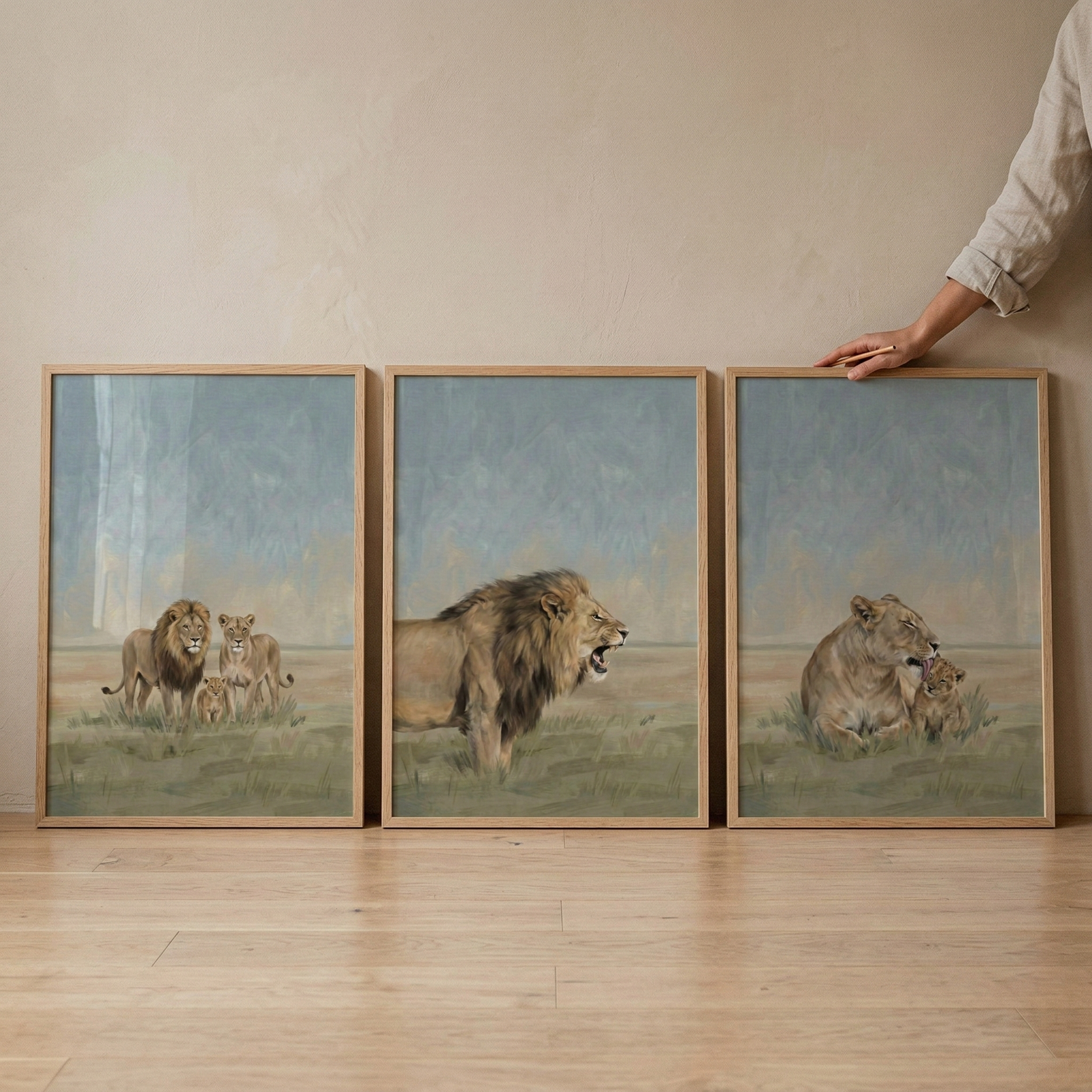 Three framed art pieces lean against a light beige wall on a wooden floor. The illustrations depict lions in a grassy field under a muted blue sky. On the left, a lion family stands together. In the center, a large male lion is shown mid-roar. On the right, a lioness rests while grooming her cub. Each is in a thin light-colored wood frame. From the top right, a person's hand reaches down to hold the corner of the third frame.